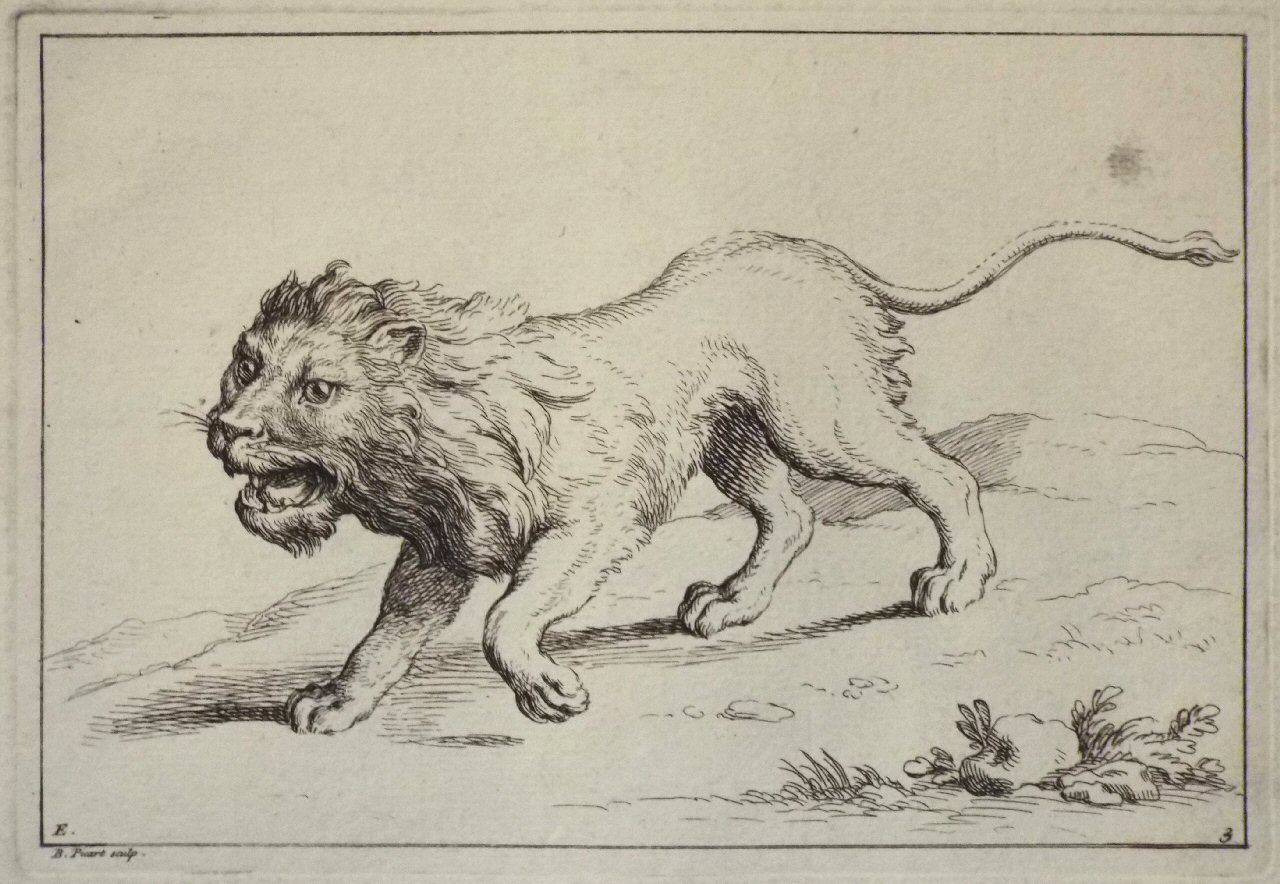 Etching - E. 3. Lion - Picart